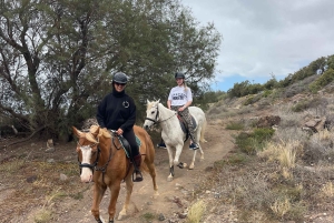 3 hours Horse Riding Tour to the Coast