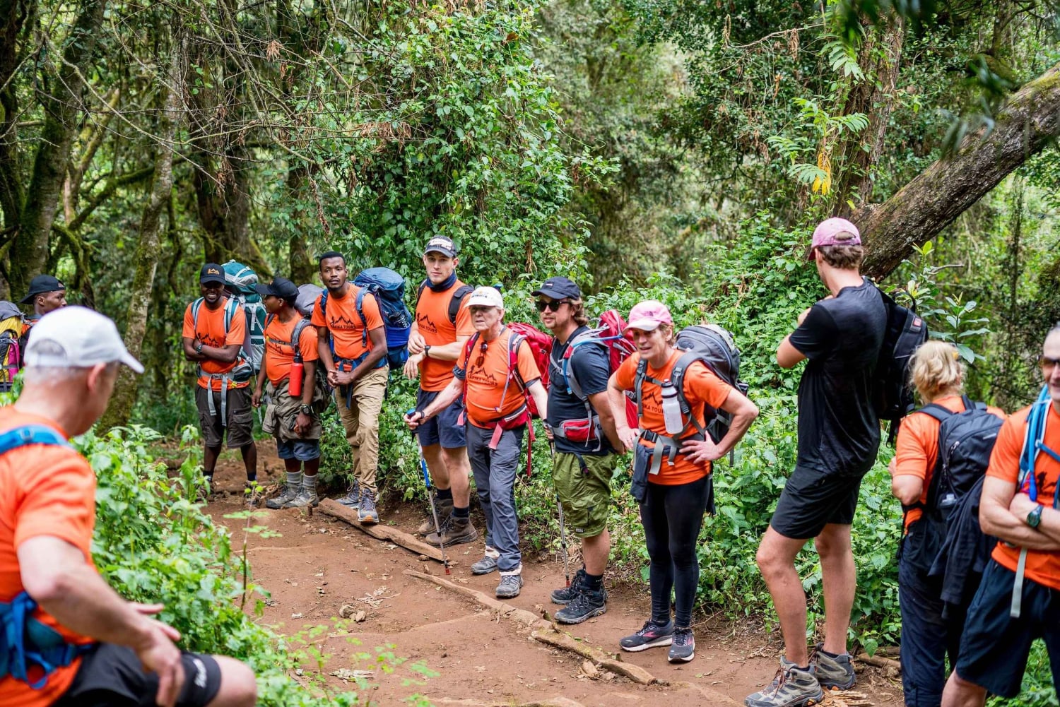 8-Day Kilimanjaro Lemosho Route Trek
