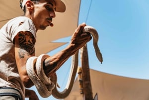 Agüimes: Cocodrilo Park Zoo Entry Ticket