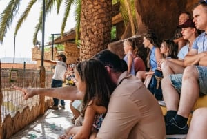 Agüimes: Cocodrilo Park Zoo Entry Ticket