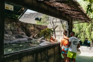 Agüimes: Cocodrilo Park Zoo Entry Ticket