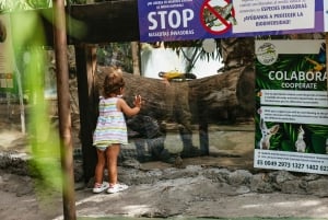 Agüimes: Cocodrilo Park Zoo Entry Ticket