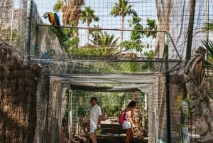 Agüimes: Cocodrilo Park Zoo Entry Ticket