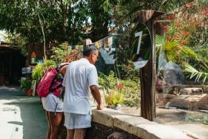 Agüimes: Cocodrilo Park Zoo Entry Ticket