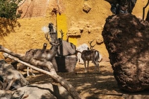 Agüimes: Cocodrilo Park Zoo Entry Ticket