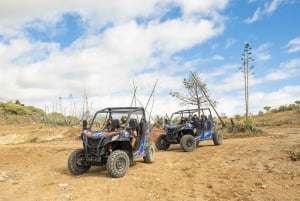 Anfi beach: Guided Buggy Tour.