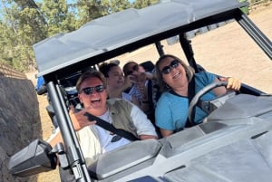 BEST FAMILY & FRIENDS FUN BUGGY TOUR