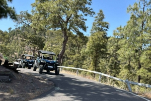 BEST FAMILY & FRIENDS FUN BUGGY TOUR