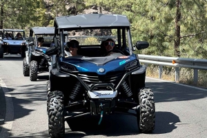 BEST FAMILY & FRIENDS FUN BUGGY TOUR