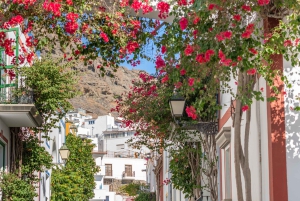 Capturing Beauty in Puerto de Mogán – 1 hour Photoshoot