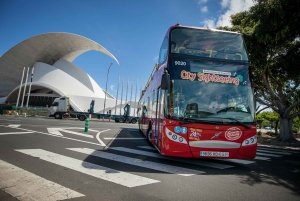 Visita turística de la ciudad: Tour en autobús HOHO por Santa Cruz de Tenerife