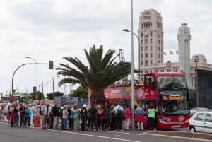Visita turística de la ciudad: Tour en autobús HOHO por Santa Cruz de Tenerife