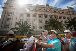 Visita turística de la ciudad: Tour en autobús HOHO por Santa Cruz de Tenerife