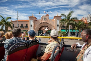 Visita turística de la ciudad: Tour en autobús HOHO por Santa Cruz de Tenerife