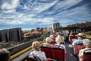 Visita turística de la ciudad: Tour en autobús HOHO por Santa Cruz de Tenerife