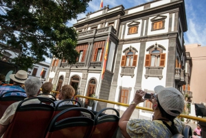 Visita turística de la ciudad: Tour en autobús HOHO por Santa Cruz de Tenerife