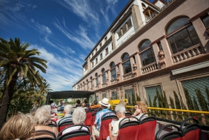 Visita turística de la ciudad: Tour en autobús HOHO por Santa Cruz de Tenerife