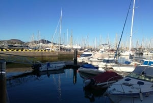 City Treasures Unveiled: 3.5-Hour Las Palmas Cab & Walking