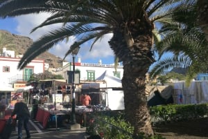 City Treasures Unveiled: 3.5-Hour Las Palmas Cab & Walking