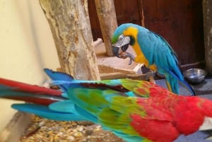 City Treasures Unveiled: 3.5-Hour Las Palmas Cab & Walking