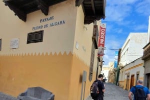 City Treasures Unveiled: 3.5-Hour Las Palmas Cab & Walking