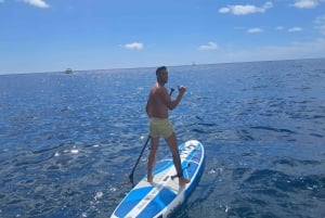 Puerto Rico,Gran Canaria:excursion en barco bebida comida padelsurf snorkel