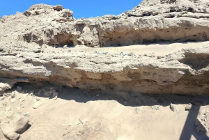 'Aventura Costera: Senderismo y Snorkel en la Reserva de El Cabrón'