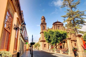 Coffee Route: Moya, Gáldar, and Puerto de las Nieves with a coffee tasting