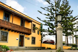 Coffee Route: Moya, Gáldar, and Puerto de las Nieves with a coffee tasting