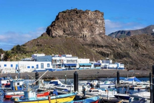 Coffee Route: Moya, Gáldar, and Puerto de las Nieves with a coffee tasting