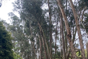 Cuenca by bike: History, Nature, and Snacks.