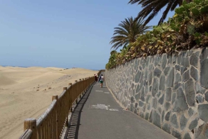 Tour de la ciudad en E-Bike con Safari en Camello por las Dunas de Maspalomas