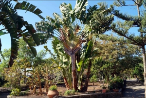 E-Bike CitySightseeing: Maspalomas, Playa Ingles, Meloneras