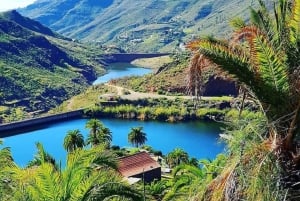 E-Bike Mountain Tour in Natural Park +Option Tapas in a Cave
