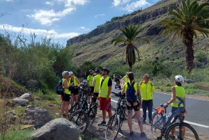 E-Bike Mountain Tour in Natural Park +Option Tapas in a Cave