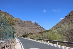 E-Bike Mountain Tour in Natural Park +Option Tapas in a Cave