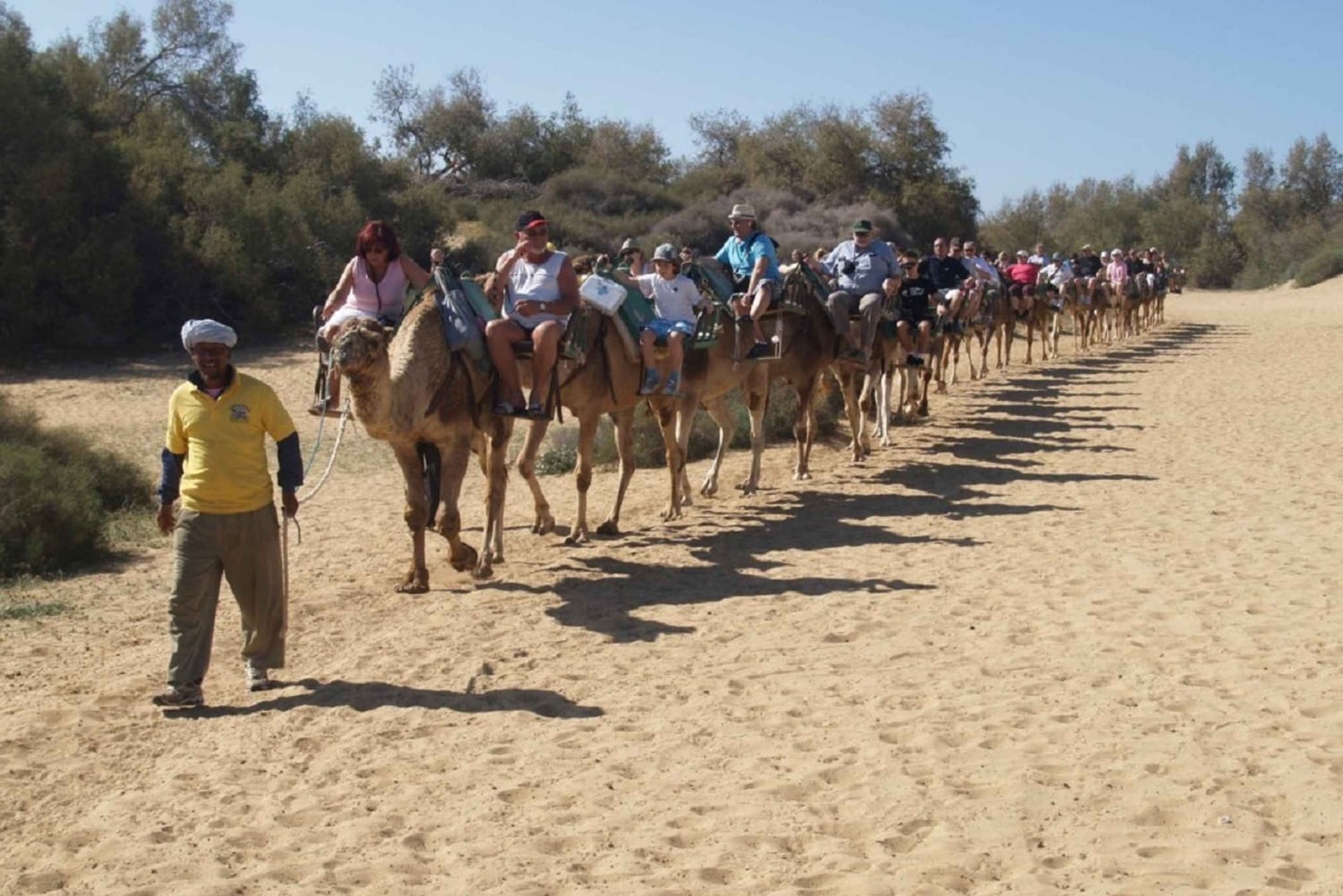 e-Scooter City Tour + Camel Ride inside Maspalomas Dunes