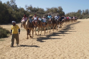 e-Scooter City Tour + Camel Ride inside Maspalomas Dunes