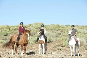 El Salobre: Horse Riding Adventure with Transfer Options