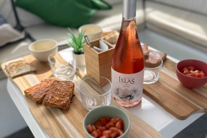 1 hora de paseo en barco + 2 horas de degustación de vino y comida en el puerto