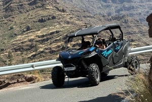 ¡El mejor tour en buggy para familias y amigos!