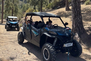 ¡El mejor tour en buggy para familias y amigos!
