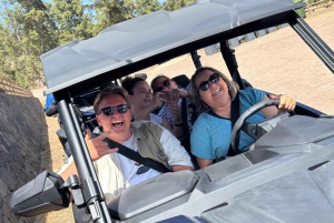 ¡El mejor tour en buggy para familias y amigos!