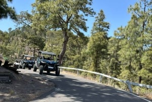 ¡El mejor tour en buggy para familias y amigos!
