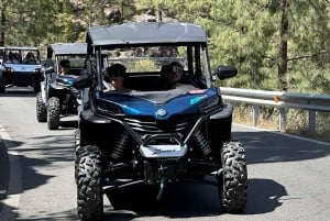 ¡El mejor tour en buggy para familias y amigos!