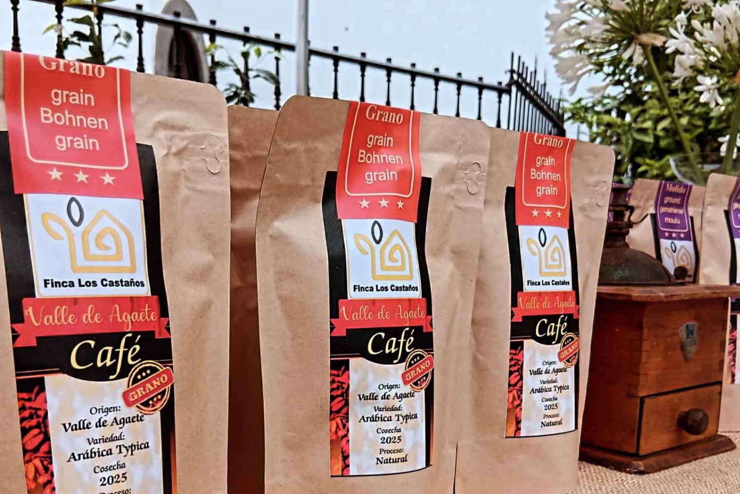 Finca Los Castaños: Agaete Valley Coffee Tour & Tasting