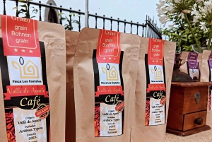 Finca Los Castaños: Agaete Valley Coffee Tour & Tasting