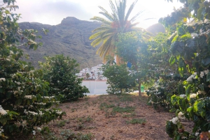 Finca Los Castaños: Agaete Valley Coffee Tour & Tasting