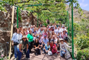 Finca Los Castaños: Agaete Valley Coffee Tour & Tasting