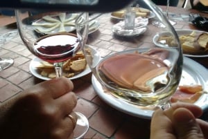 Desde Las Palmas: Excursión de un día por el Norte